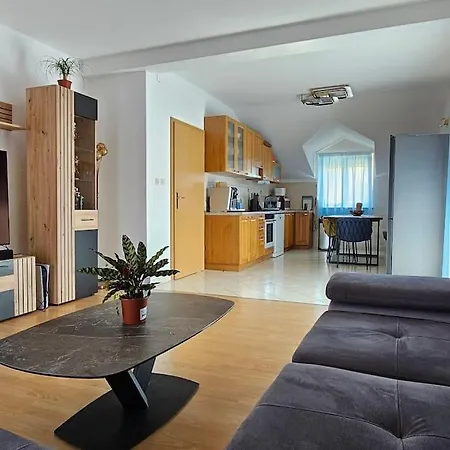 Apartment 4-bedroom Family Paradise With View